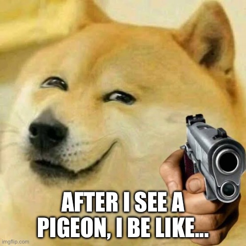gun with smile doge | AFTER I SEE A PIGEON, I BE LIKE... | image tagged in gun with smile doge | made w/ Imgflip meme maker
