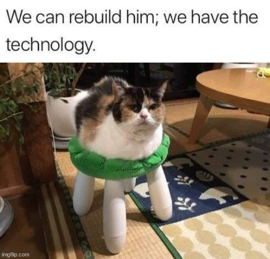 Rebuild | image tagged in cats | made w/ Imgflip meme maker