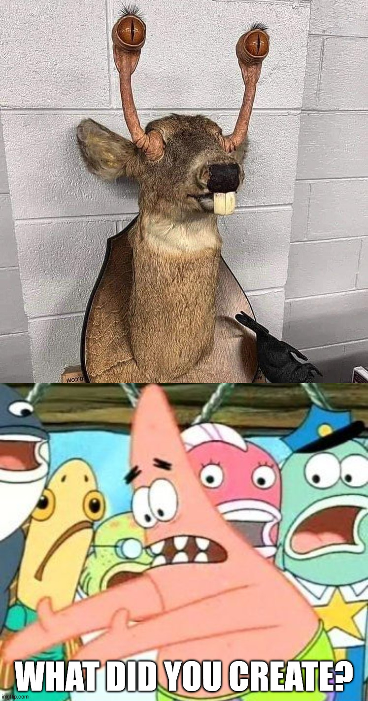 Oh deer | WHAT DID YOU CREATE? | image tagged in memes,put it somewhere else patrick | made w/ Imgflip meme maker