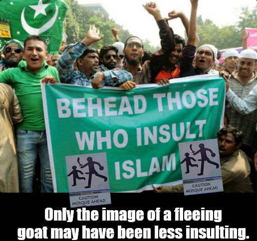 Every culture has its strong points. | Only the image of a fleeing goat may have been less insulting. | image tagged in memes,politics,islam,pakistan | made w/ Imgflip meme maker