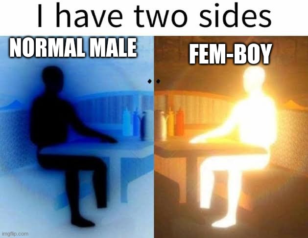 I would be the not gay kinda fem-boy you know | NORMAL MALE; FEM-BOY | image tagged in i have two sides,femboy | made w/ Imgflip meme maker