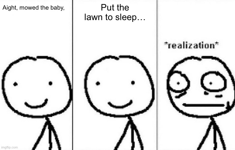 Realization | Put the lawn to sleep…; Aight, mowed the baby, | image tagged in realization | made w/ Imgflip meme maker