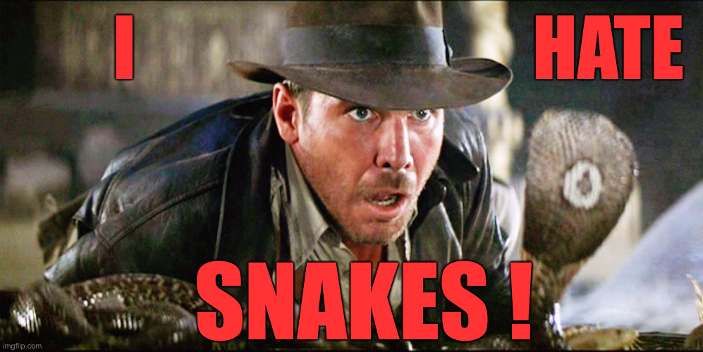 Indiana Jones Snakes | I                            HATE SNAKES ! | image tagged in indiana jones snakes | made w/ Imgflip meme maker