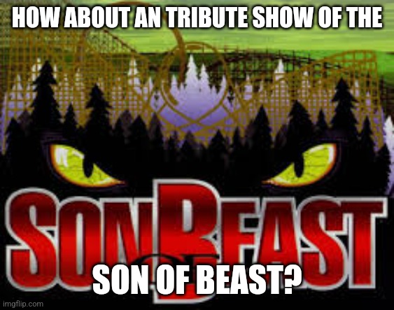 How About a Tribute show for the Son of Beast? | HOW ABOUT AN TRIBUTE SHOW OF THE; SON OF BEAST? | image tagged in son of beast,kings island,roller coasters,mason ohio,theme parks,memes | made w/ Imgflip meme maker