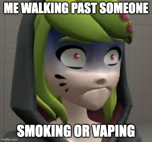 SMG4 melony shocked | ME WALKING PAST SOMEONE; SMOKING OR VAPING | image tagged in smg4 melony shocked | made w/ Imgflip meme maker