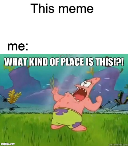 What kind of place is this? | This meme me: | image tagged in what kind of place is this | made w/ Imgflip meme maker