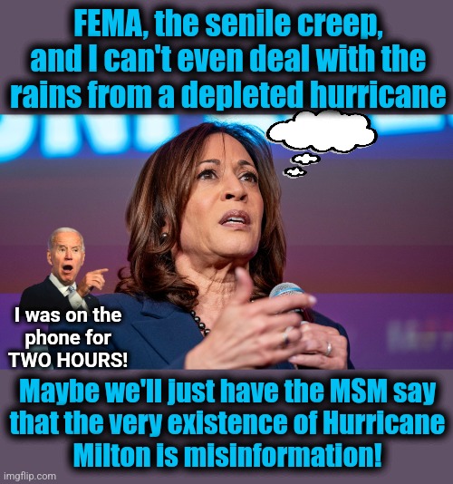 democrats not dealing with it | FEMA, the senile creep, and I can't even deal with the rains from a depleted hurricane; I was on the
phone for
TWO HOURS! Maybe we'll just have the MSM say
that the very existence of Hurricane
Milton is misinformation! | image tagged in kamala worried,memes,hurricanes,milton,democrats,lies | made w/ Imgflip meme maker