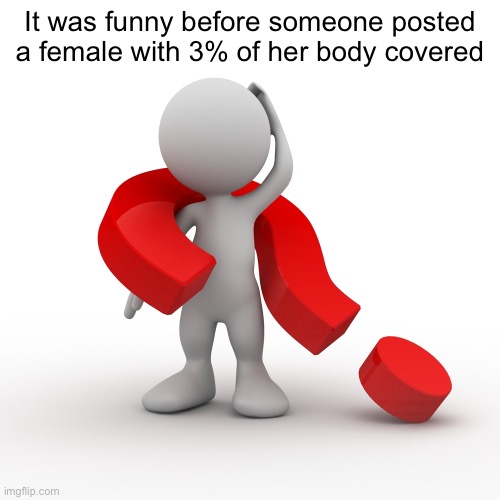 question mark  | It was funny before someone posted a female with 3% of her body covered | image tagged in question mark | made w/ Imgflip meme maker