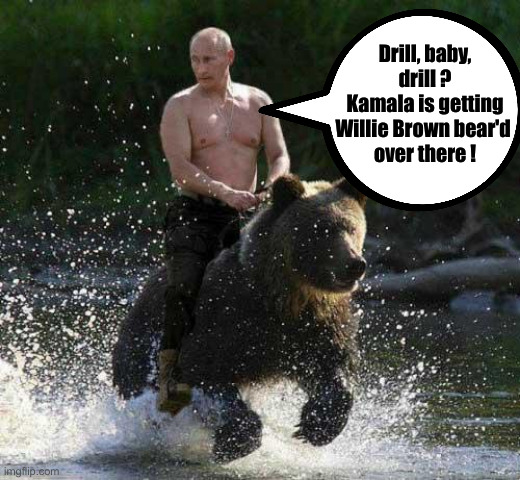 Kamala Dogging | Drill, baby, drill ?
Kamala is getting Willie Brown bear'd 
over there ! | image tagged in putin thats cute,political meme,politics,funny memes,funny | made w/ Imgflip meme maker