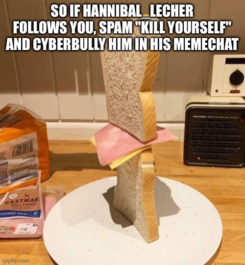 Standwich | SO IF HANNIBAL_LECHER FOLLOWS YOU, SPAM "KILL YOURSELF" AND CYBERBULLY HIM IN HIS MEMECHAT | image tagged in standwich | made w/ Imgflip meme maker