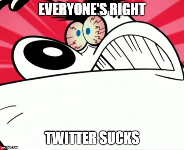 furious dingus hates twitter | EVERYONE'S RIGHT; TWITTER SUCKS | image tagged in furious dingus,memes | made w/ Imgflip meme maker