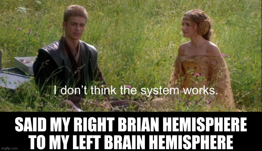 I don't think the system works | SAID MY RIGHT BRIAN HEMISPHERE TO MY LEFT BRAIN HEMISPHERE | image tagged in i don't think the system works | made w/ Imgflip meme maker