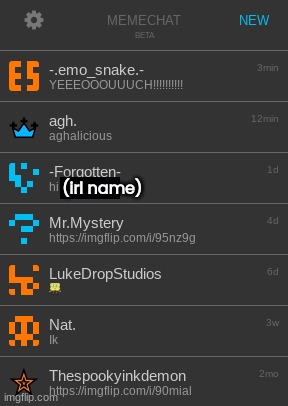 (irl name) | made w/ Imgflip meme maker