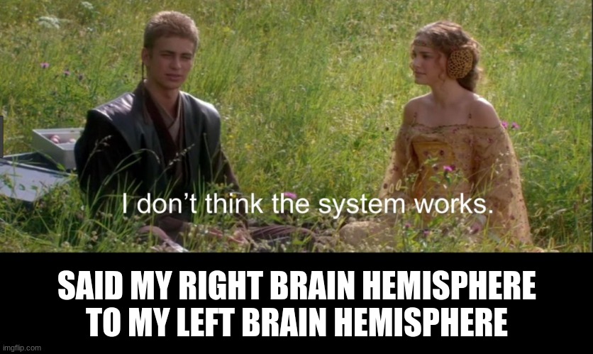 I don't think the system works | SAID MY RIGHT BRAIN HEMISPHERE TO MY LEFT BRAIN HEMISPHERE | image tagged in i don't think the system works | made w/ Imgflip meme maker