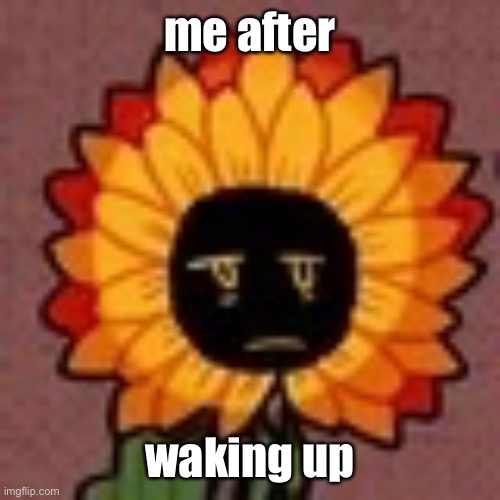 sunny | me after; waking up | image tagged in sunny | made w/ Imgflip meme maker