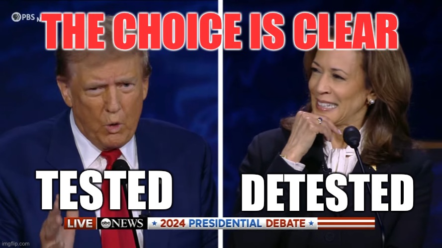 Success favors the bold. | THE CHOICE IS CLEAR; DETESTED; TESTED | image tagged in trump harris debate | made w/ Imgflip meme maker