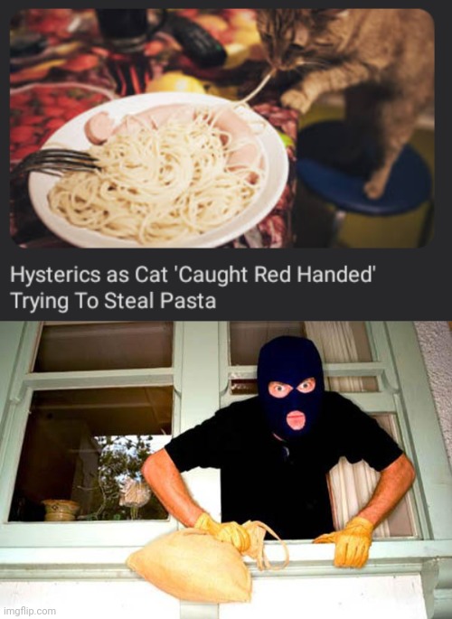 Pasta | image tagged in karma thief,cats,cat,pasta,thief,memes | made w/ Imgflip meme maker