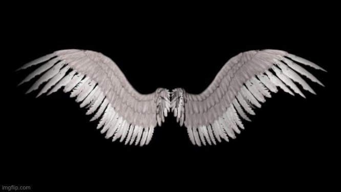 Angel Wings | image tagged in angel wings | made w/ Imgflip meme maker