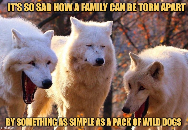 The Wolfpack | IT'S SO SAD HOW A FAMILY CAN BE TORN APART; BY SOMETHING AS SIMPLE AS A PACK OF WILD DOGS | image tagged in 2/3 wolves laugh,memes,animals,picture punches | made w/ Imgflip meme maker