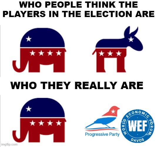 WHO PEOPLE THINK THE PLAYERS IN THE ELECTION ARE; WHO THEY REALLY ARE | image tagged in american politics,election | made w/ Imgflip meme maker