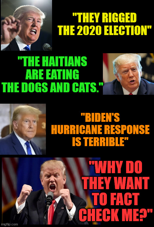 Sorry DonOLD, but when you lie, you get called out for it. | "THEY RIGGED THE 2020 ELECTION"; "THE HAITIANS ARE EATING THE DOGS AND CATS."; "BIDEN'S HURRICANE RESPONSE IS TERRIBLE"; "WHY DO THEY WANT TO FACT CHECK ME?" | image tagged in trump lies,the big lie,insurrection,fascist,liar | made w/ Imgflip meme maker