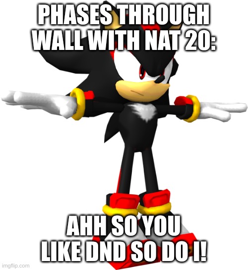 shadow the hedgehog t pose | PHASES THROUGH WALL WITH NAT 20: AHH SO YOU LIKE DND SO DO I! | image tagged in shadow the hedgehog t pose | made w/ Imgflip meme maker