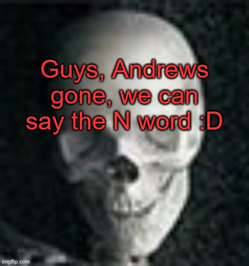 . | Guys, Andrews gone, we can say the N word :D | image tagged in skull | made w/ Imgflip meme maker