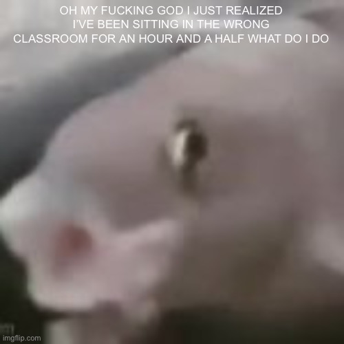 fih | OH MY FUCKING GOD I JUST REALIZED I’VE BEEN SITTING IN THE WRONG CLASSROOM FOR AN HOUR AND A HALF WHAT DO I DO | image tagged in fih | made w/ Imgflip meme maker