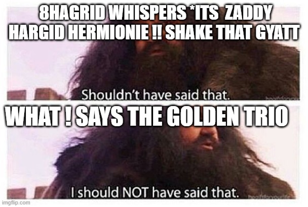 OOPS | 8HAGRID WHISPERS *ITS  ZADDY HARGID HERMIONIE !! SHAKE THAT GYATT; WHAT ! SAYS THE GOLDEN TRIO | image tagged in hagrid shouldn't have said that | made w/ Imgflip meme maker