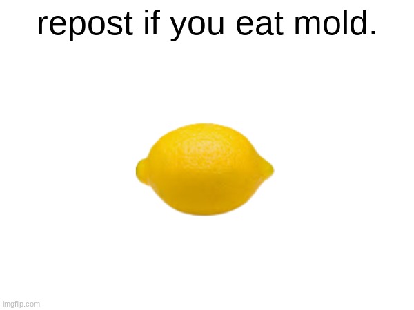 repost if you eat mold. | made w/ Imgflip meme maker