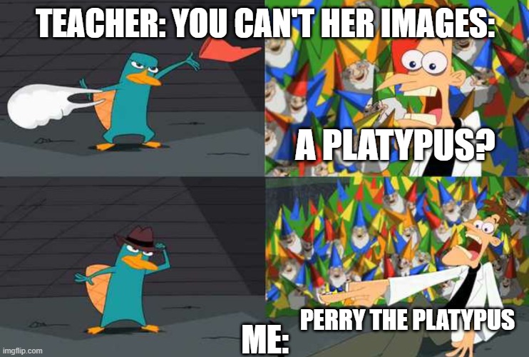 Teacher: you can't hear images Me: | TEACHER: YOU CAN'T HER IMAGES:; A PLATYPUS? ME:; PERRY THE PLATYPUS | image tagged in an ordinary platypus | made w/ Imgflip meme maker