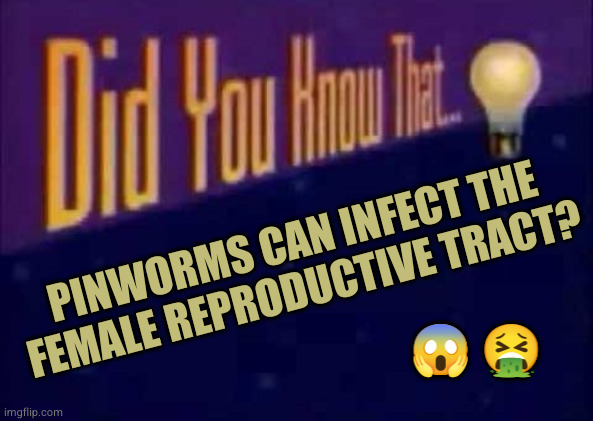 Did you know that... | PINWORMS CAN INFECT THE FEMALE REPRODUCTIVE TRACT? 😱 🤮 | image tagged in did you know that | made w/ Imgflip meme maker