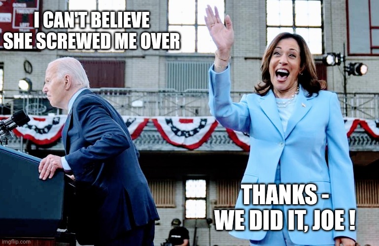 Sell out | I CAN'T BELIEVE
SHE SCREWED ME OVER; THANKS -
WE DID IT, JOE ! | image tagged in leftists,liberals,democrats,2024 | made w/ Imgflip meme maker