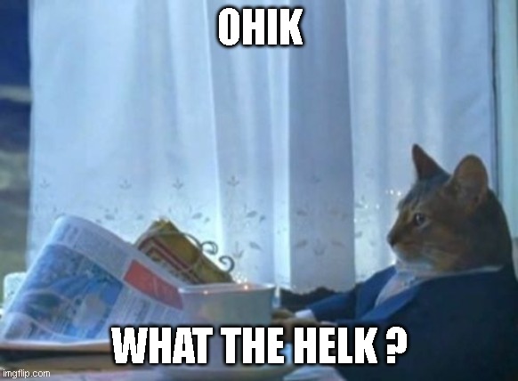 Ohik | OHIK; WHAT THE HELK ? | image tagged in memes,i should buy a boat cat | made w/ Imgflip meme maker