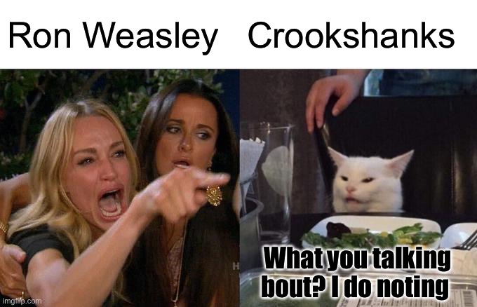 Ron yelling at crookshanks | Ron Weasley; Crookshanks; What you talking bout? I do noting | image tagged in memes,woman yelling at cat | made w/ Imgflip meme maker