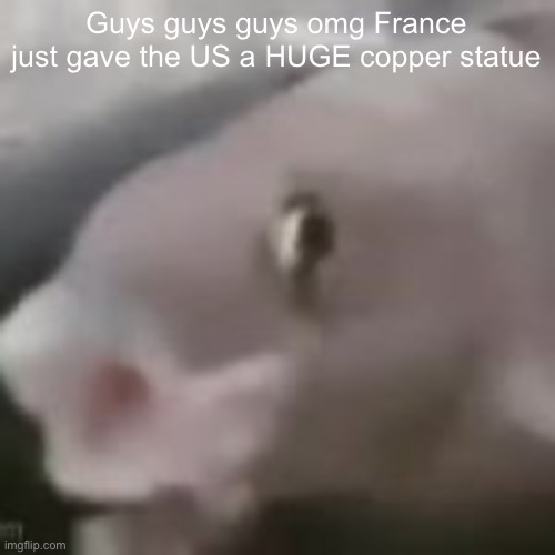 fih | Guys guys guys omg France just gave the US a HUGE copper statue | image tagged in fih | made w/ Imgflip meme maker