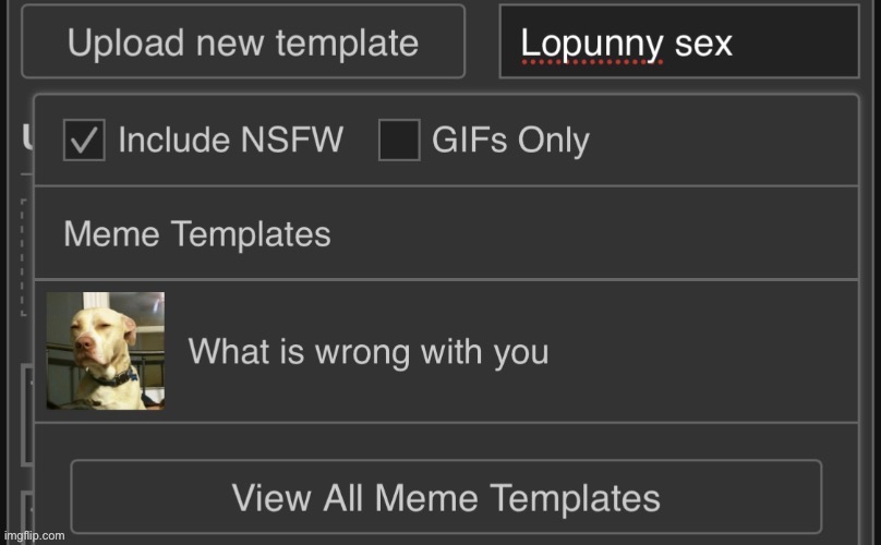 made w/ Imgflip meme maker