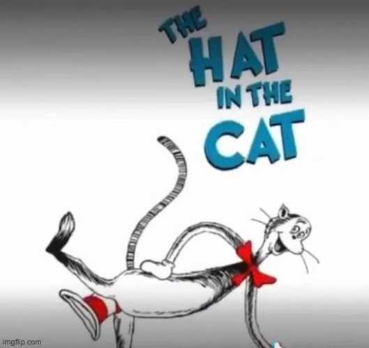 The hat in the cat | image tagged in the hat in the cat | made w/ Imgflip meme maker