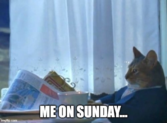 I Should Buy A Boat Cat Meme | ME ON SUNDAY... | image tagged in memes,i should buy a boat cat | made w/ Imgflip meme maker