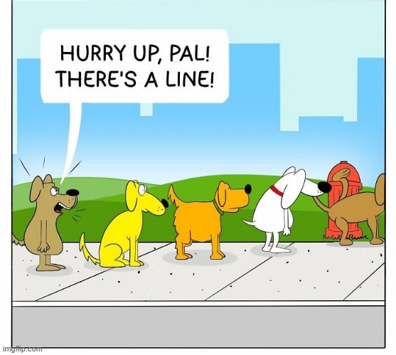 Dog Line | image tagged in comics | made w/ Imgflip meme maker