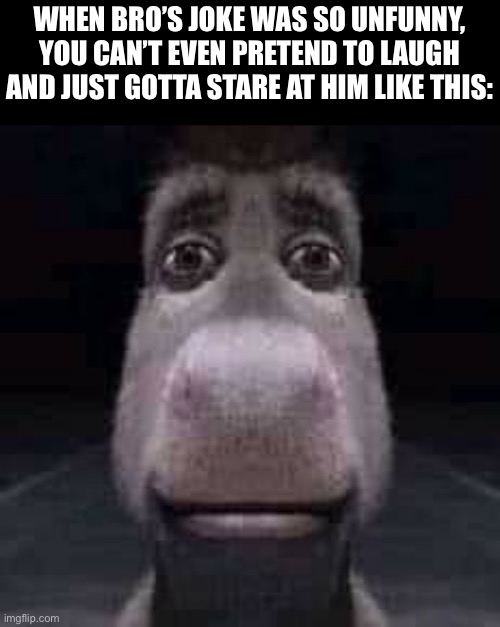 Donkey staring | WHEN BRO’S JOKE WAS SO UNFUNNY, YOU CAN’T EVEN PRETEND TO LAUGH AND JUST GOTTA STARE AT HIM LIKE THIS: | image tagged in donkey staring | made w/ Imgflip meme maker