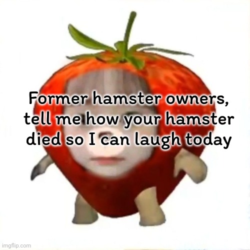 This one girl was telling me how her hamster died from farting... So real | Former hamster owners, tell me how your hamster died so I can laugh today | image tagged in strawberry chuu | made w/ Imgflip meme maker