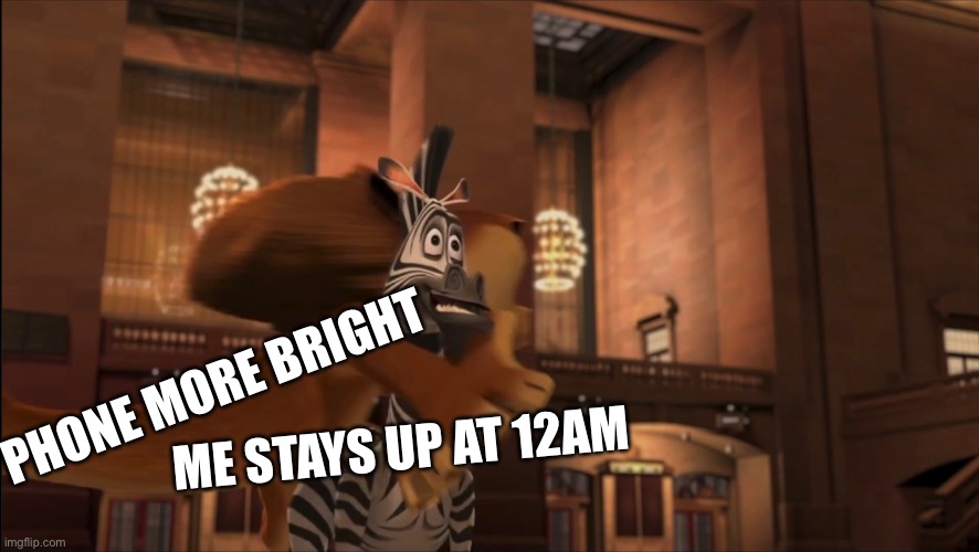 my eyes are watering again: | PHONE MORE BRIGHT; ME STAYS UP AT 12AM | image tagged in meme,12am,madagascar | made w/ Imgflip meme maker