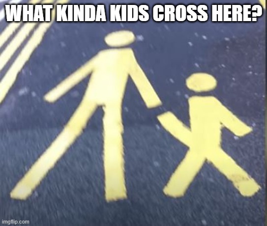 "Kid" Crossing? | WHAT KINDA KIDS CROSS HERE? | image tagged in you had one job | made w/ Imgflip meme maker