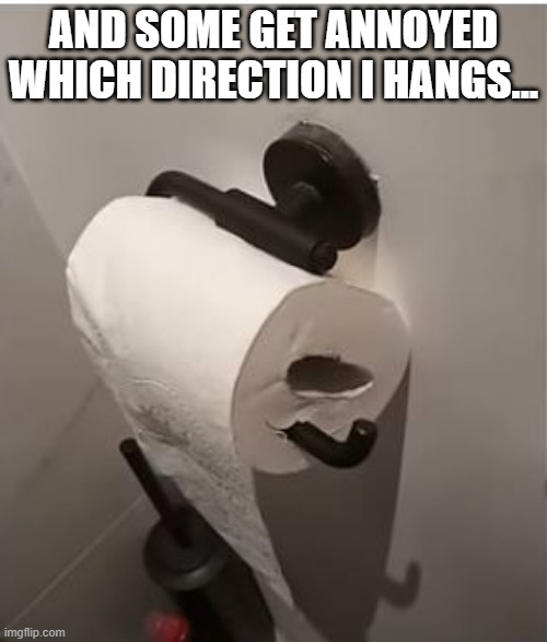 The TP | AND SOME GET ANNOYED WHICH DIRECTION I HANGS... | image tagged in you had one job | made w/ Imgflip meme maker