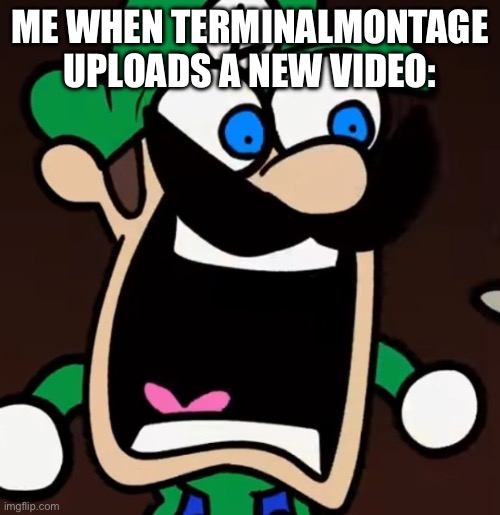 I’m screaming with joy because of how funny they are | ME WHEN TERMINALMONTAGE UPLOADS A NEW VIDEO: | image tagged in luigi scream | made w/ Imgflip meme maker