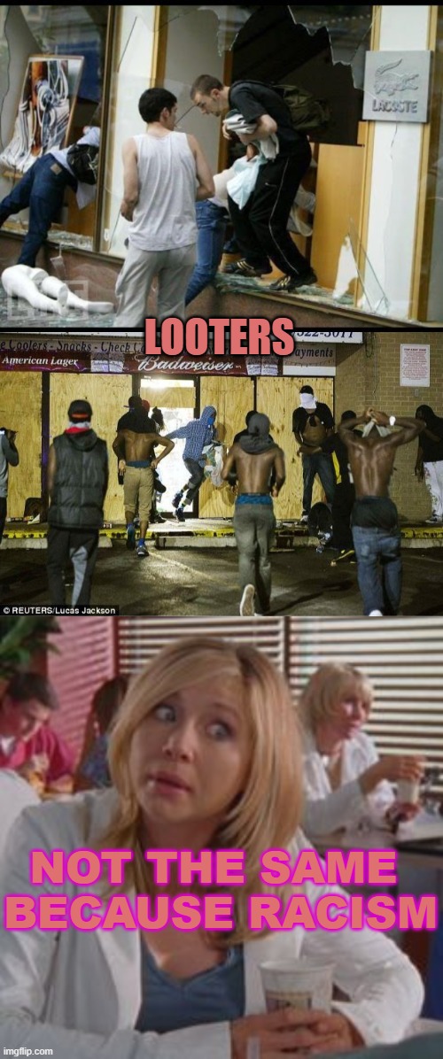 Double Standards | LOOTERS NOT THE SAME 

BECAUSE RACISM | image tagged in white people looting,black looters,not the same todd | made w/ Imgflip meme maker