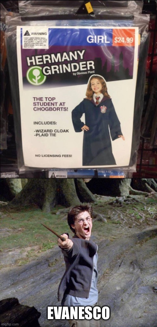 EVANESCO | image tagged in harry potter | made w/ Imgflip meme maker