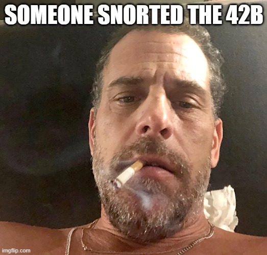 Hunter biden money | SOMEONE SNORTED THE 42B | image tagged in hunter biden money | made w/ Imgflip meme maker