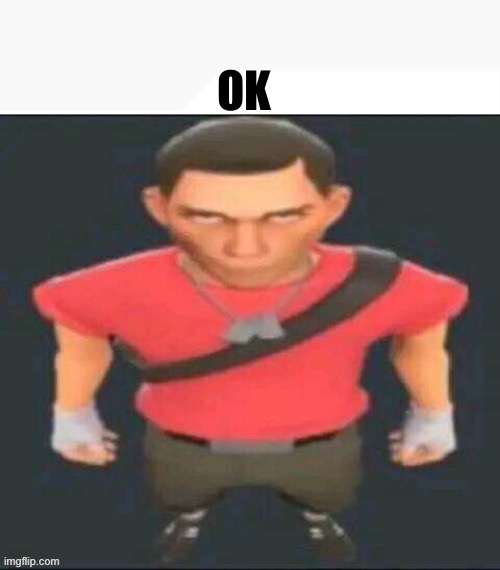 Scout Ok and | OK | image tagged in scout ok and | made w/ Imgflip meme maker